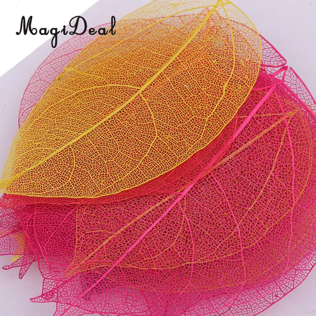 20 Pieces Pressed Dried Linden Leaves Bodhi Leaf Skeleton Leaves for Art Craft Scrapbooking Home Decoration