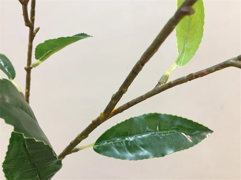 20190611_151727_023