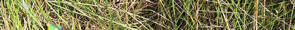 ENG_61