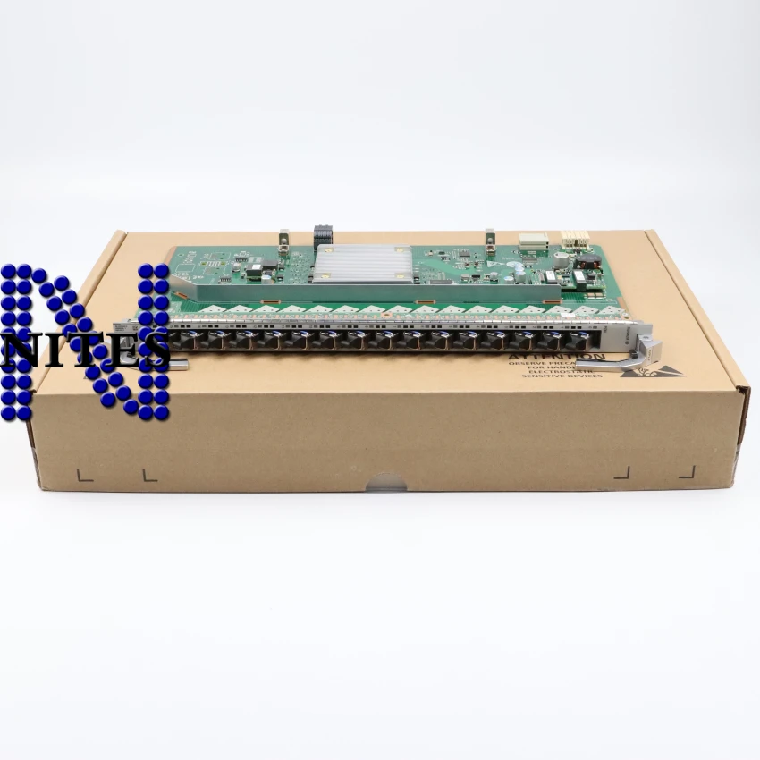 GPLF (10)