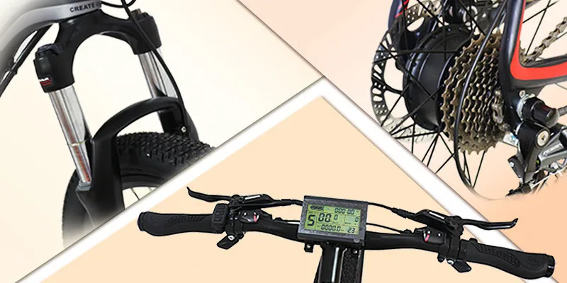  Carbon electric bike (2)
