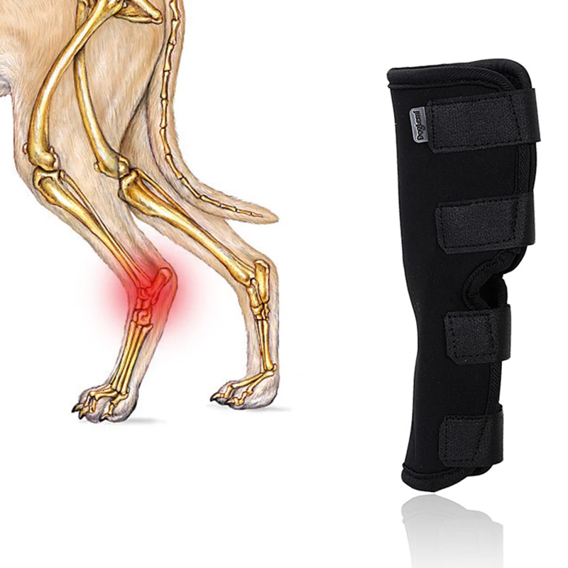 

1PCS Dogs Kneepad Wounds Heal Band Canine Rear Leg Foreleg Ankle Safety Joint Wrap Protector Prevent Arthritis Injury Knee Brace