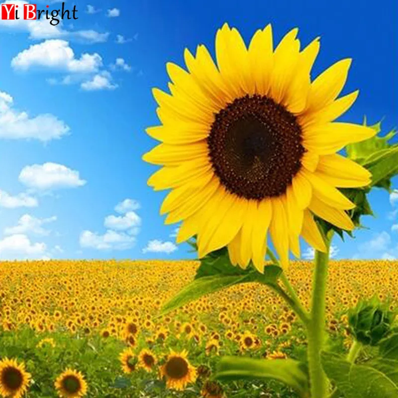 

New Arrivals 5D Diamond Painting Full Square Sunflower Diamond Mosaic Scenic Diamond Embroidery Cross Stitch Resin Drill XY1