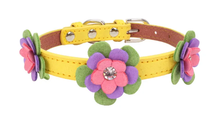 dog collars (4)