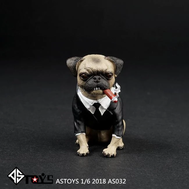 Suit for pug Clearance