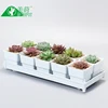 Garden Supplies