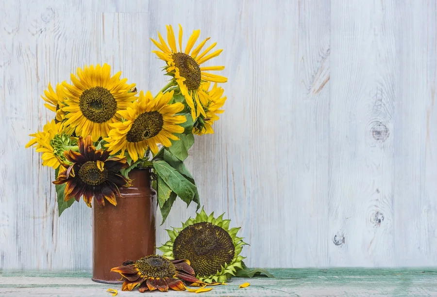 

Laeacco Wooden Board Texture Sunflower Autumn Harvest Photography Backgrounds Customized Photographic Backdrops For Photo Studio