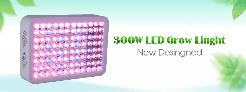 300W_01