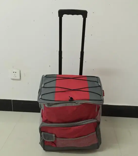 cool trolley bags