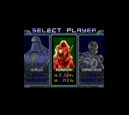 

Ninja Warriors 16 Bit Game Card For USA NTSC Game Player