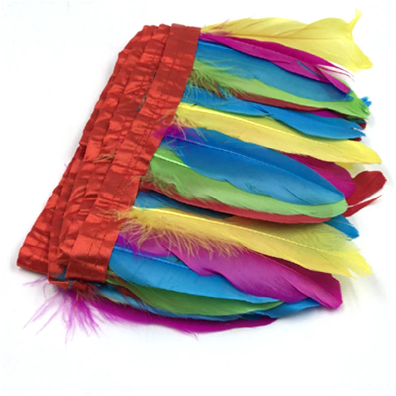 multi-color gosoe feather trim