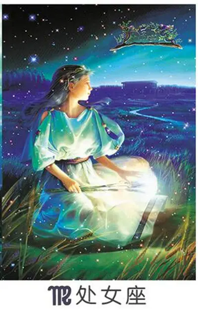 1000pcs Zodiac Constellation Luminous puzzle 8