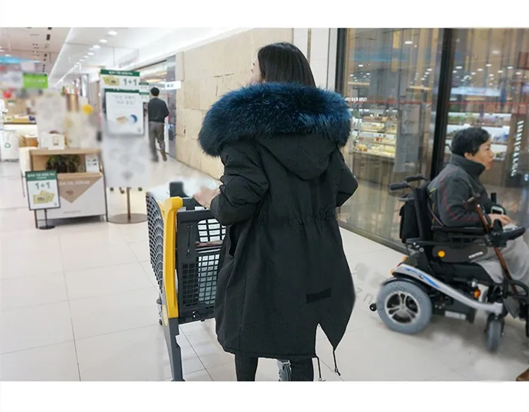 3492810810_231277194