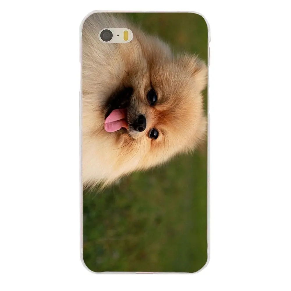 Pomeranian Puppy Dog для Sony Xperia Z Z1 Z2 Z3 Z4 Z5 compact Mini M2 M4 M5 T3 E3 E5 XA XA1 XZ Premium мягкий чехол с