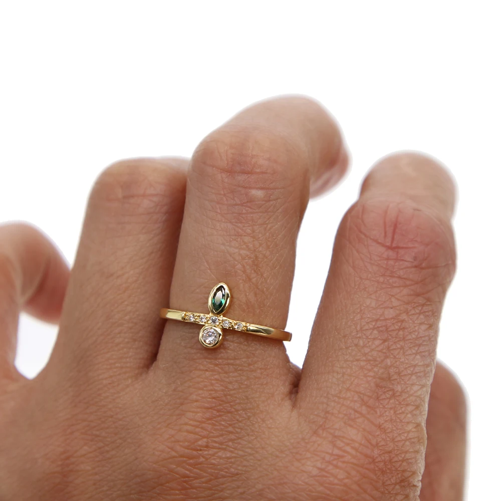 R219 7 4.99-5.99 (2)