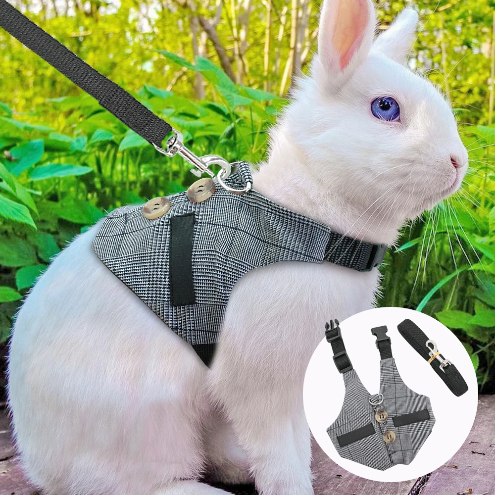 rabbit harness and lead