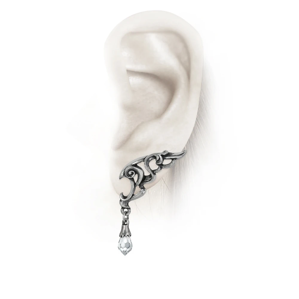 

2018 Gothic Women's Accessories Earrings Eternal Wings Silver Irregular Pattern Pendant Attend Party Dress Up
