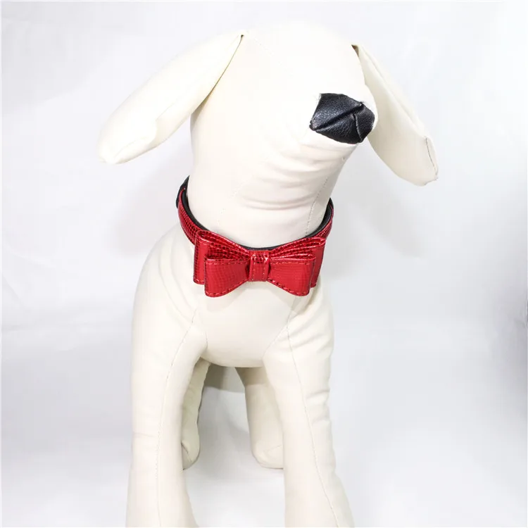 dog collar (2)