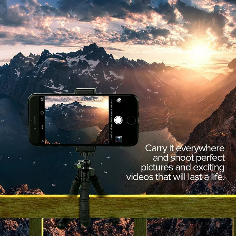 4513493620_160544041