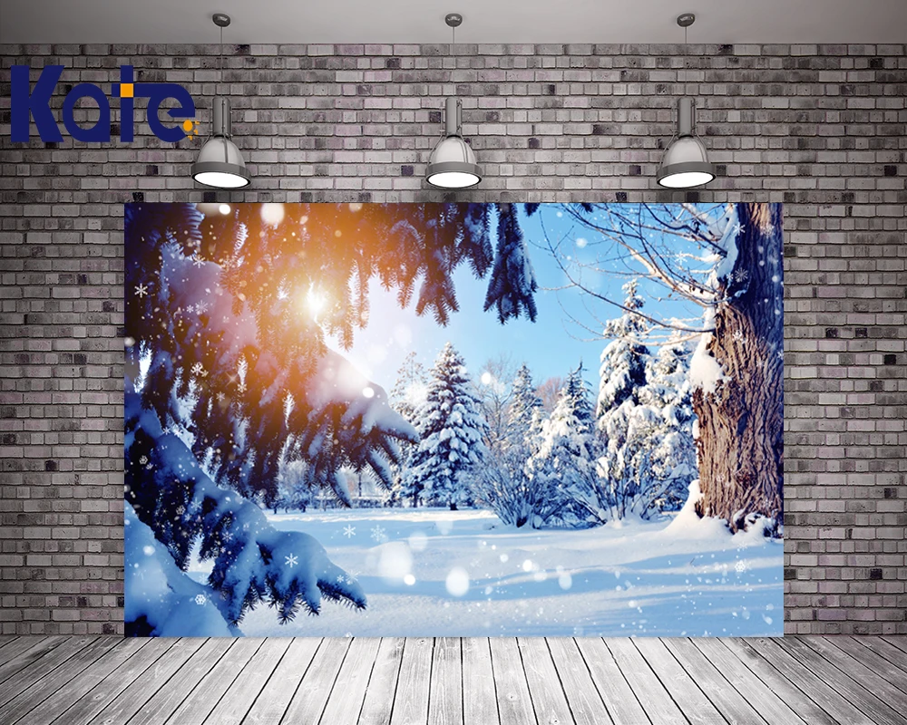 Kate Digital Background Photography Frozen Snow Backdrops