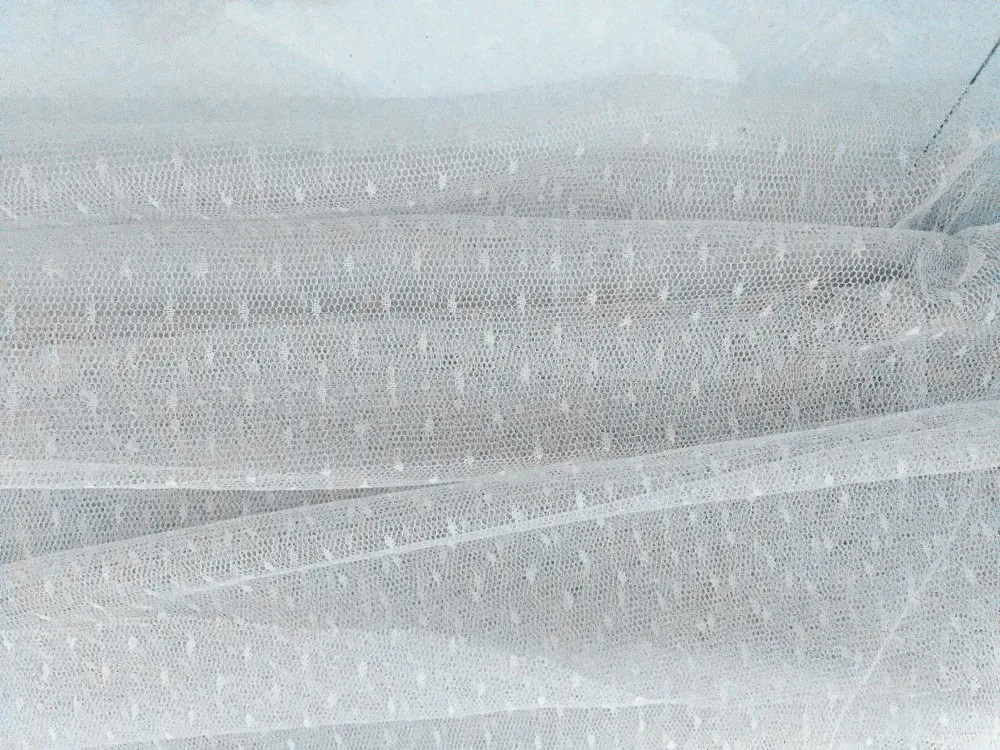 IMG_6795