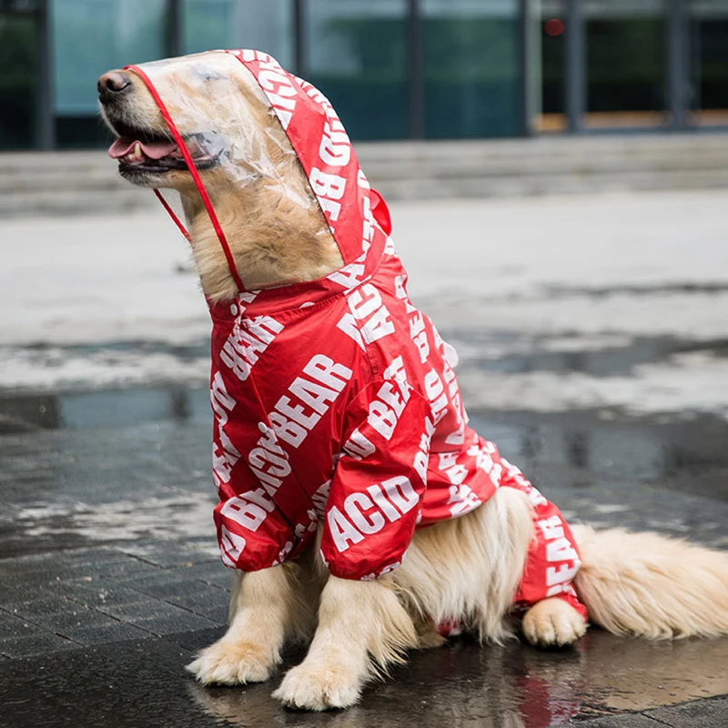 Chia sẻ với hơn 56 về louis vuitton dog raincoat  cdgdbentreeduvn