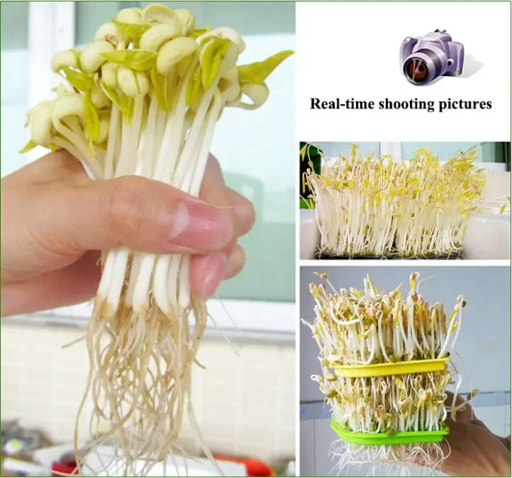 Купить дома применение разведки ростки фасоли машина двойной слои ...