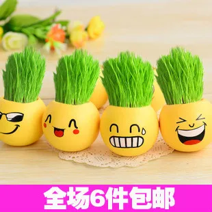 

grass head,hair grass plant doll,mini bonsai,garden tool