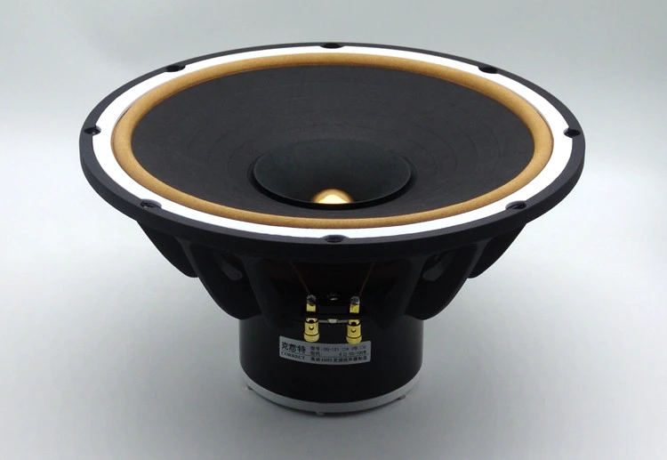 12 inch speaker magnet price