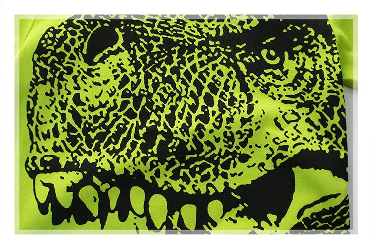 20170602_184907_015_01