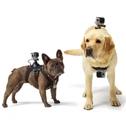 Действий Камера двухцелевые мужские солнцезащитные очки собака с собакой и поводок для собаки держатель для sony HDR-AS200V HDR-AS300 HDR-AS50 FDR-X1000V S30V
