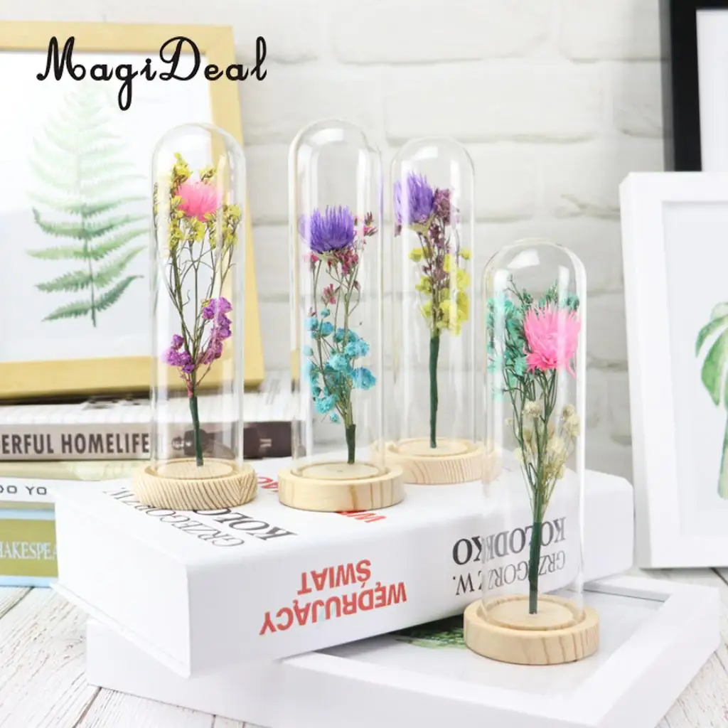 Clear Glass Display Cloche Bell Jar Dried Immortal Flower Preservation Vase Wooden Base Cafe Bar Countertop Decor Ornament