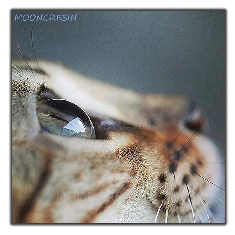 

MOONCRESIN Diy Diamond Painting Cross Stitch Meditation In The Cat Diamond Embroidery Full Square Diamond Mosaic Decoration Kits