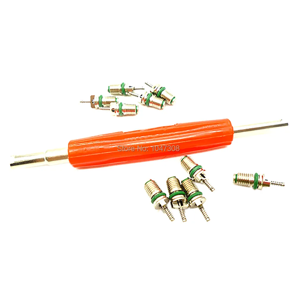 Dual Head 2 Way Tool Key Valve Core Installer Remover with 10pcs Air