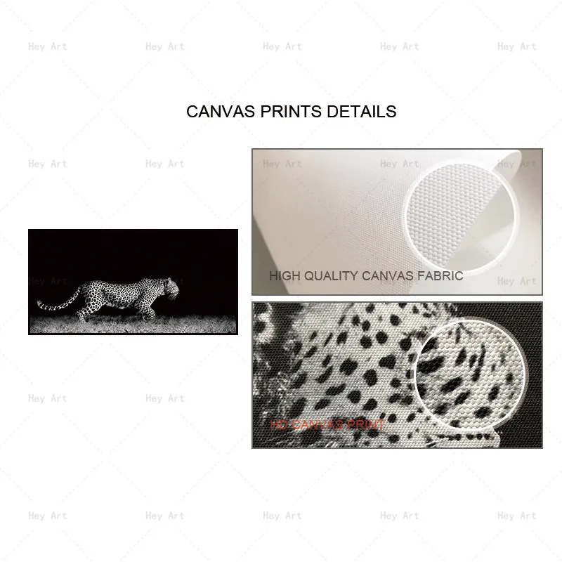 Home Decor Picture Canvas Animal Painting Artwork for Living Room Wall Art Prints Tiger Poster Frameless Printing Lion Home Decor Picture Canvas Animal Painting Artwork for Living Room Wall Art Prints Tiger Poster Frameless Printing Lion