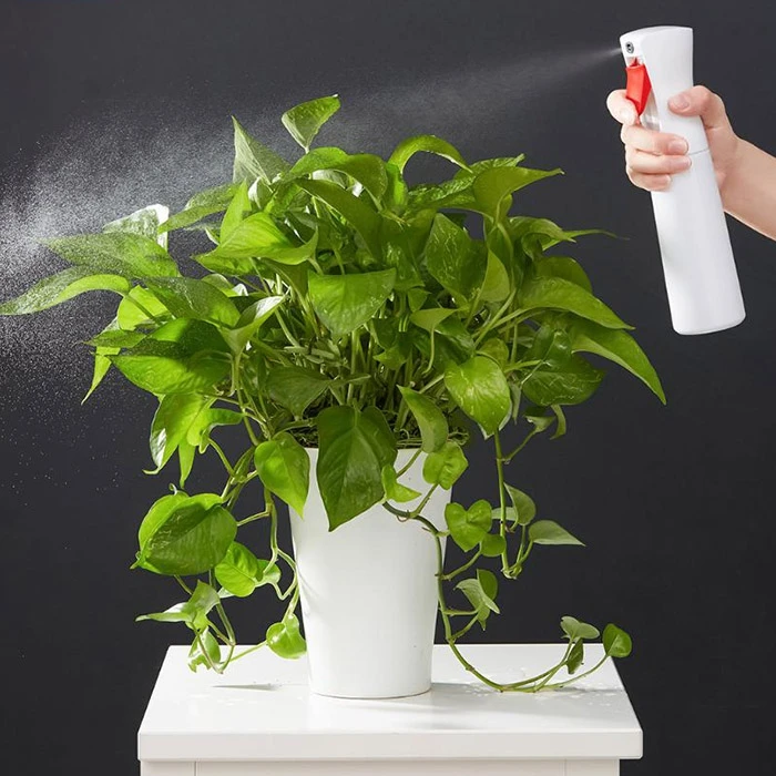 

Simple Time Delay Spray Bottle