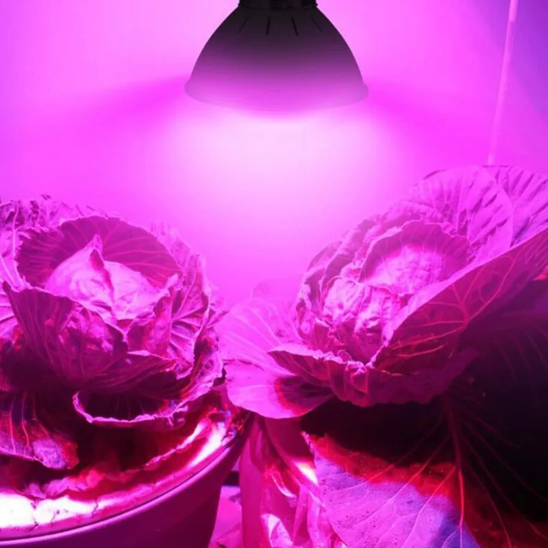 Qvvcev полный спектр светодиодный светильник для выращивания растений лампы для гидропоники системы цветок теплица растительное растение для выращивания в помещении E27 светильник ing