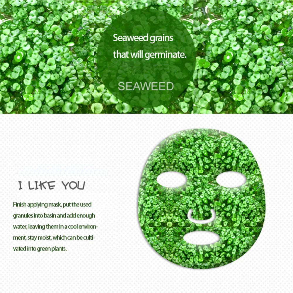 Pure-Seaweed-Alga-Mask-Powder-Algae-Mask-Acne-Spots-Remove-Hyrdating-Whitening-Moisturizing-Facial-Mask-Face (1)