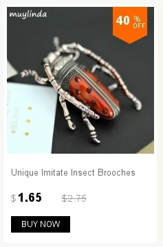 dianxiaobao
