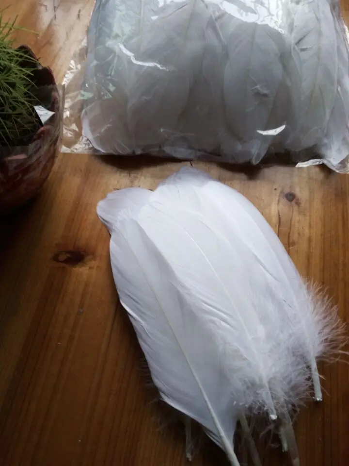 

Wholesale perfect 20pcs high quality natural white Pheasant feathers 6-8inch/15-20cm Decorative diy