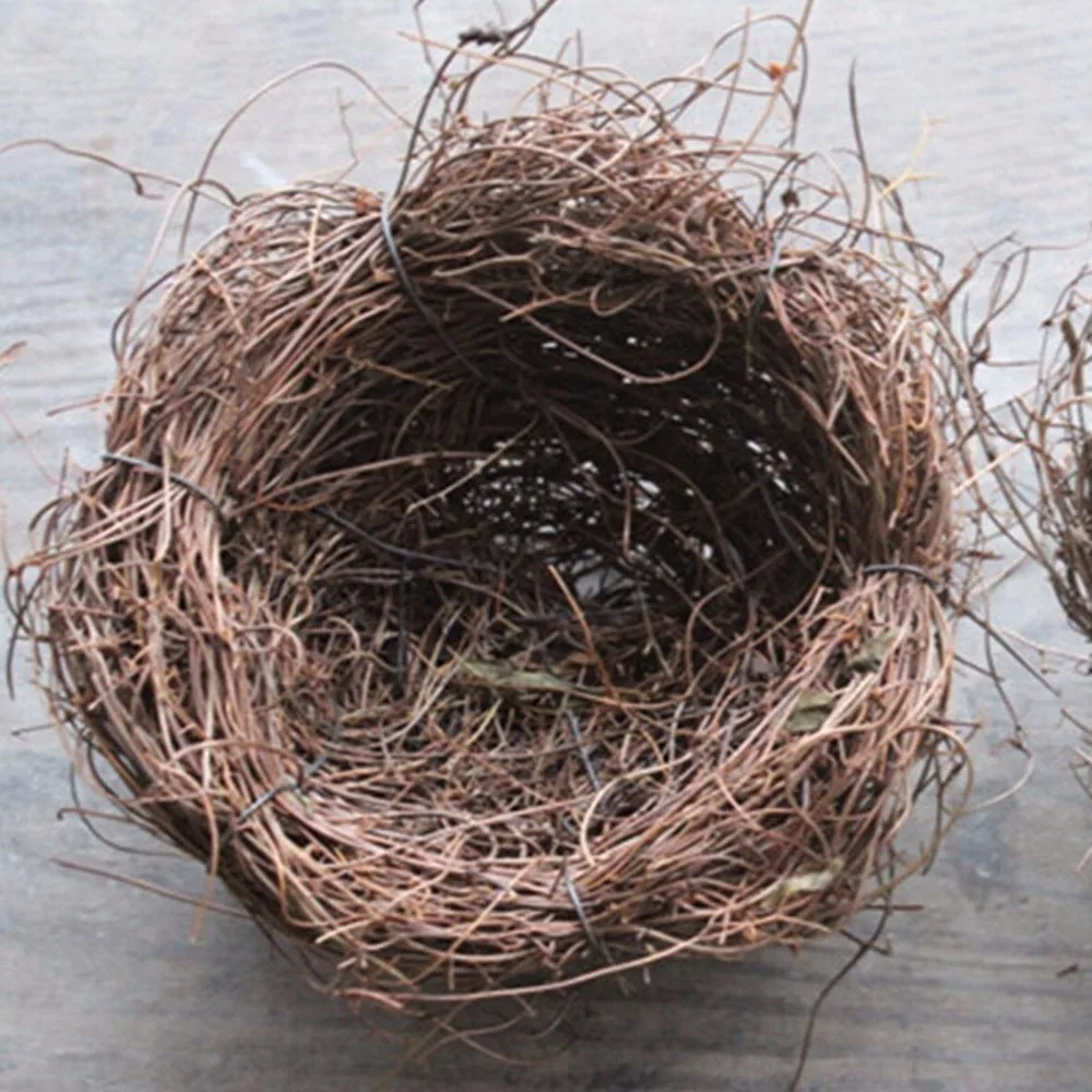 HTB1ji1kOFXXXXXNXpXXq6xXFXXXu