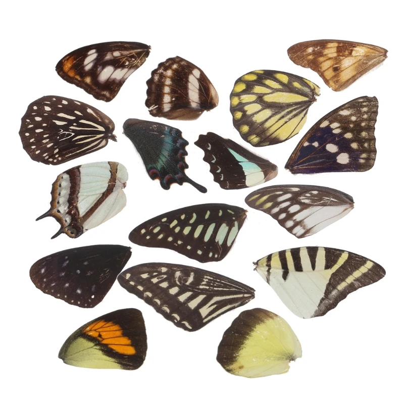 

3PCS Real Butterfly Wings Resin Jewelry DIY Findings Necklaces Earrings Making