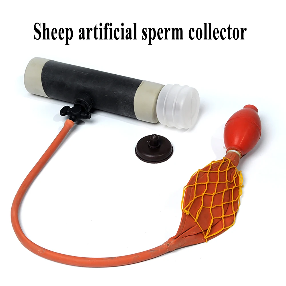 Artificial Insemination Sperm Collection Simulation Vagina Sheep Cow Equipment 