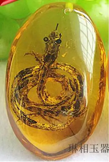 1B