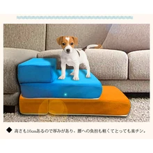 Pet Dog Cat Two Stairs Breathable Mesh Foldable Detachable Ramp 2 Steps Ladder Pets Dogs Jumping Platform Bed Cushion Mat Sofa Pet Dog Cat Two Stairs Breathable Mesh Foldable Detachable Ramp 2 Steps Ladder Pets Dogs Jumping Platform Bed Cushion Mat Sofa