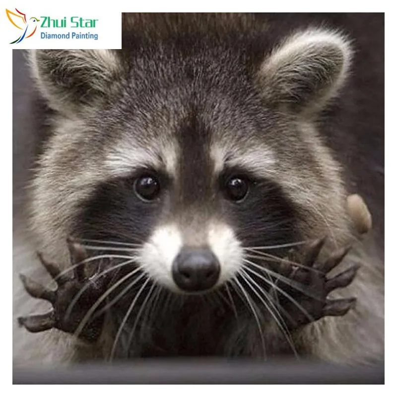 

Zhui Star 5D Diy full Square drill diamond painting Cross stitch Raccoon Rhinestones diamond embroidery home Mosaic decor zx