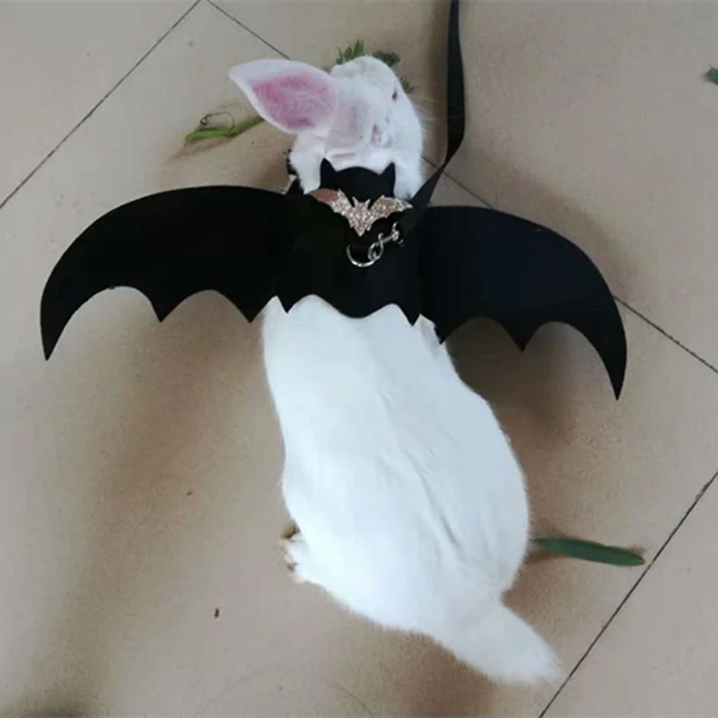 bunny accessories