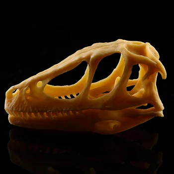 

Simulation Resin Crafts Home Decorations Accessories Interior Furnishings Velociraptor Dinosaur Skull Study Model