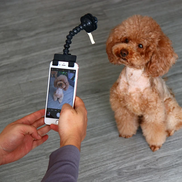 Pet Selfie Stick for Pets Dog Cat fit iPhone Samsung and Most Smartphone Tablet Black/White Drop Shipping