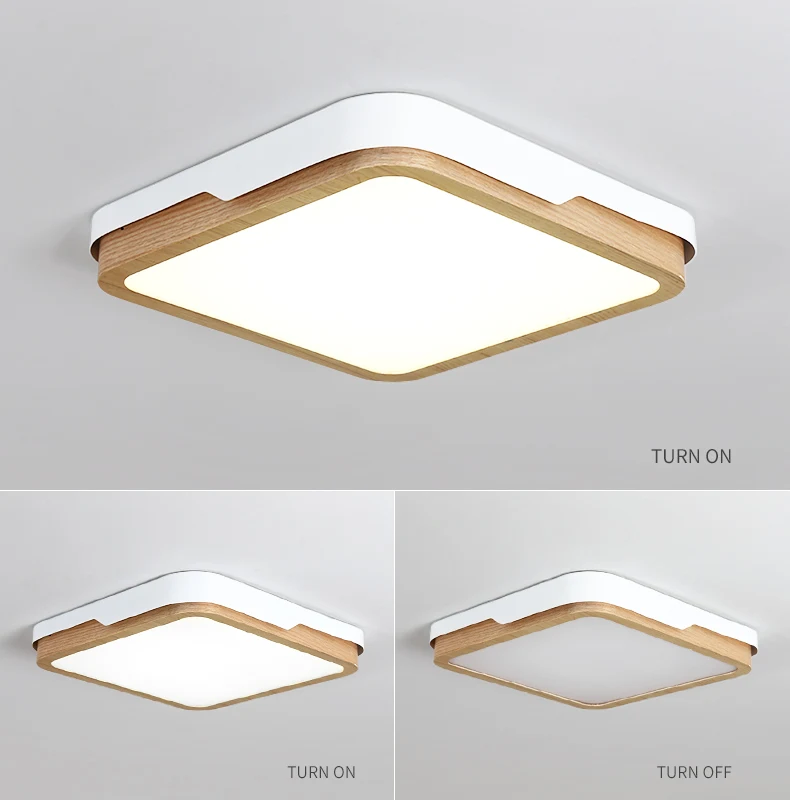 Ceiling-Light_06